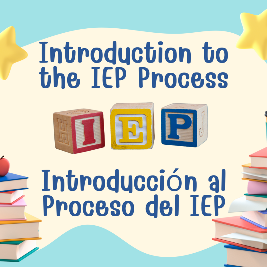 IEP Workshop Pic